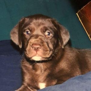 Meet your Posher, Tayden